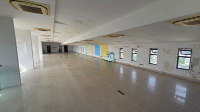 250 Sqm Grade B Office Space, Adeola Odeku Road, Victoria Island (vi), Lagos, Office Space for Rent