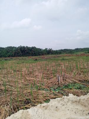 Affordable Land with Cofo, Peak Uxury Estate After Shoprite Close to Coastal Highway. Shegotrdo, Ajah, Lagos, Residential Land for Sale