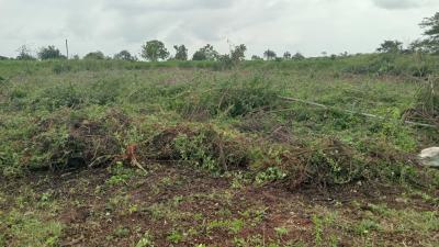Verified Land with Registered Survey, Ire Ayo City Estate, Ibadan Iseyin Expressway, Moniya, Ibadan, Oyo, Mixed-use Land for Sale