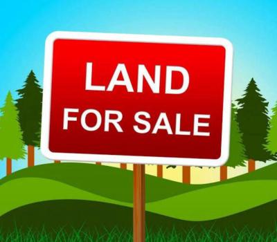 Premium 5 Plots of Bareland Fenced and Gated, on The Tired Road at Ologolo, Ologolo, Lekki, Lagos, Mixed-use Land for Sale