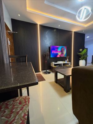 Scav D3 X Spacious 2bedroom Apartments, Airport Road, Ikeja, Lagos, Flat / Apartment Short Let