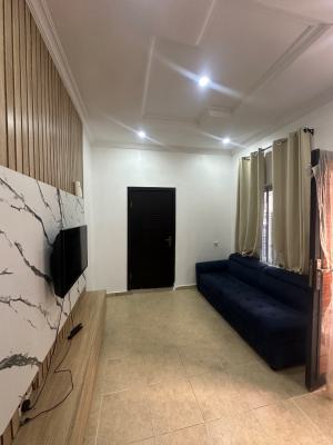 1bedroom and Palour Miniflat, Osapa London, Osapa, Lekki, Lagos, Mini Flat (room and Parlour) for Rent