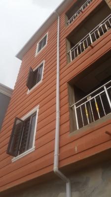 Executive Newly Built Units of 2 Bedroom Flats, Surulere, Surulere, Lagos, Flat / Apartment for Rent