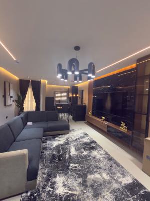 Luxury 2 Bedrooms Furnished Apartments with Generator, Wuye, Wuye, Abuja, Flat / Apartment for Rent