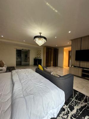 Tastefully Built New, Fully Serviced Water Front 3 Bedrooms Apartment, Banana Island, Ikoyi, Lagos, Flat / Apartment for Rent