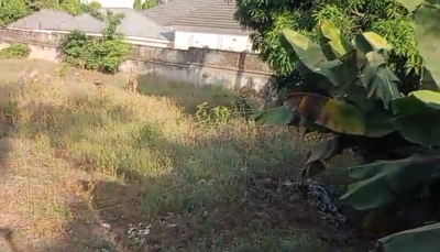 1,267sqm Land with Old Bungalow, Asokoro District, Abuja, Residential Land for Sale