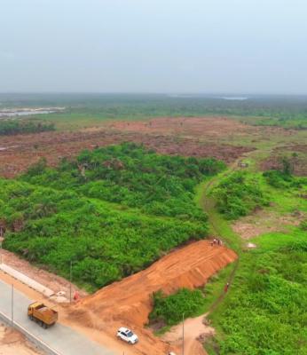 Commercial Lamd with Government Allocation/cofo, Downtown Lagos Commercial City Phase 2along Lekki Coastal Road Orimedu, Ibeju Lekki, Lagos, Commercial Land for Sale