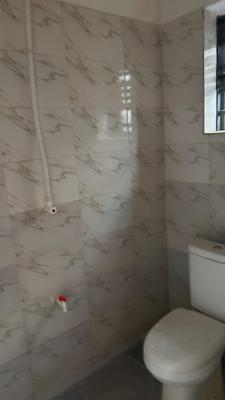 Luxury 2bedroom Apron with a Bq(downstairs), Lekki Scheme 2, Ajah, Lagos, Flat / Apartment for Rent