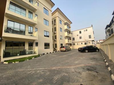 Fully Furnished 2 Bedroom Apartment, Ikate, Ikate, Lekki, Lagos, Flat / Apartment for Rent