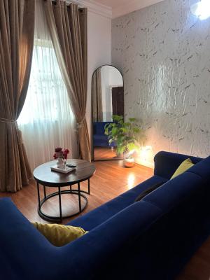 Partially Furnished Room and Parlor with Personal Kitchen, Yaba, Lagos, Mini Flat (room and Parlour) for Rent