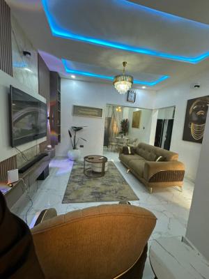 Tastefully Finished & Fully Furnished 2 Bedrooms Flat, Wuye Main, Wuye, Abuja, Flat / Apartment for Rent