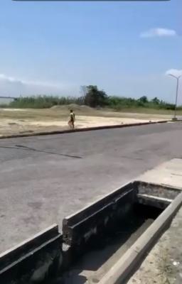 Land, Pinnock Beach, Lekki, Lagos, Residential Land for Sale