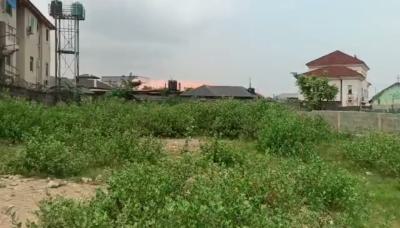 Fenced & Gated 1000 Square Meter Plot, Off St. Fimbaars College Road, Akoka, Yaba, Lagos, Mixed-use Land for Sale