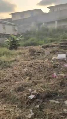 Full Plot of Dry Land, in a Gated Estate, Soluyi, Gbagada, Lagos, Residential Land for Sale