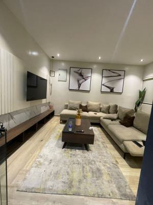 Exquisite 3 Bedroom Terrace Duplex, Ikate Lekki, Ikate, Lekki, Lagos, House for Rent