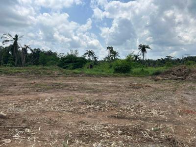 Land with Deed of Assignment, Plethora City Estate, Igboye, Epe, Lagos, Residential Land for Sale