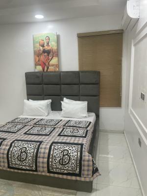 Furnished 2 Bedroom Apartment, Chevron, Lekki, Lagos, Flat / Apartment for Sale