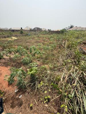 a Genuine Full Plot of Land, Adamo, Ikorodu, Lagos, Land for Sale