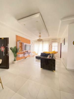 Exquisite 2 Bedroom Apartment, Ikate, Ikate, Lekki, Lagos, Flat / Apartment for Rent