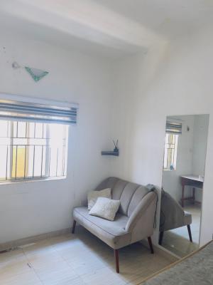 a Neatly Used 1 Bedroom Apartment, Campos, Lagos Island, Lagos, Mini Flat (room and Parlour) for Rent