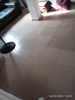 Female Tenant Needed, Alasia Town, Sangotedo, Ajah, Lagos, Self Contain (single Rooms) for Rent