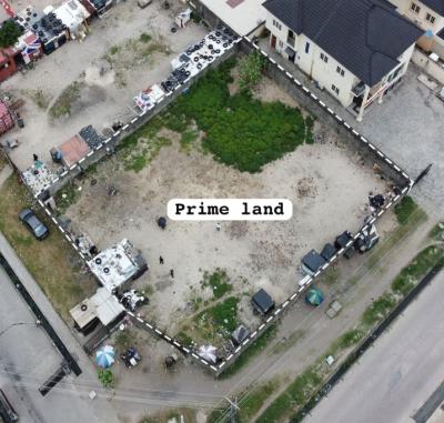Massive 5 Plots in a Ready to Build Condition (626sqm Each Plot), Ologolo, Lekki, Lagos, Land for Sale