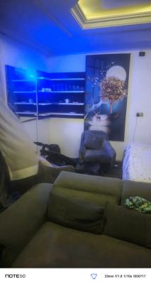 Fully Furnished 1 Room Studio Apartment with 24hour Power Supply, Living Spring Estate, Orchid Road Lekki Lagos, Lekki, Lagos, Self Contain (single Rooms) for Rent