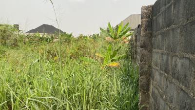 Well Located and Table Dry 2.5 Plots of Land, Mfm Estate, Nta Road, Port Harcourt, Rivers, Residential Land for Sale