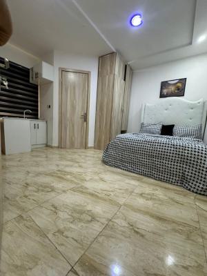 Single Room Studio Apartment with Open Plan Kitchen, Royal Pine Gate 3, Orchid Road, Lekki, Lagos, Self Contain (single Rooms) Short Let