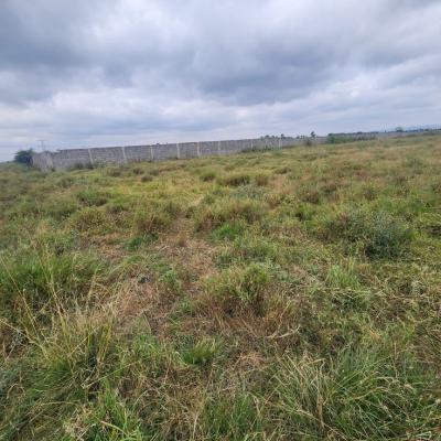 Secure Your Future with Land in Bluestone 2.0 Exclusive, Cofo Title, Bluestone 2.0 Exclusive,full Plot with Cofo Title, Mowe Town, Ogun, Residential Land for Sale