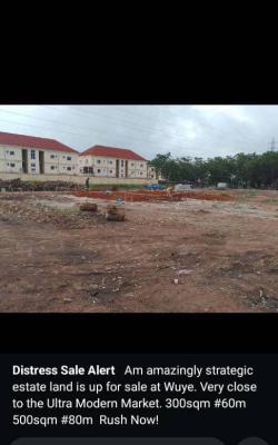 Buildable 4100 Residential Land, Close to Next Supermarket, Jahi, Abuja, Residential Land for Sale