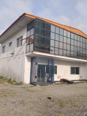 4bedroom Duplex, Victoria Island (vi), Lagos, Detached Duplex for Rent