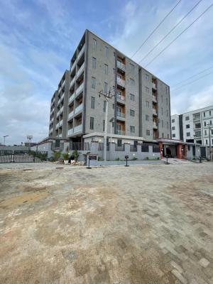 Beautiful (2) Bedroom Apartment with Pool & Gym, Ikate, Lekki, Lagos, Flat / Apartment for Rent