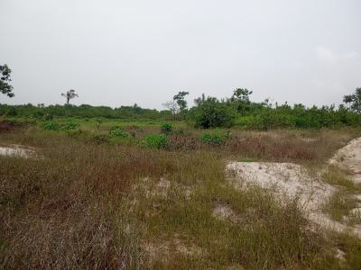 Land 5 Acres Waterfront, Bogije, Ibeju Lekki, Lagos, Land for Sale