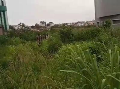 1200sqm Fence and Gated Land, Alausa, Ikeja, Lagos, Commercial Land for Sale