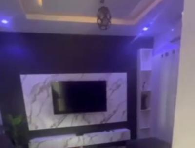 Spacious Standard Furnished 2 Bedroom Apartment, Atunrase Estate, Gbagada, Lagos, Flat / Apartment for Rent