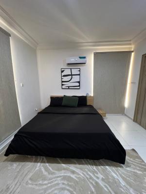 Luxury 3 Bedroom Apartment with Excellent Facility, Ikoyi, Lagos, Flat / Apartment for Rent