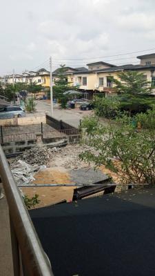 a 4 Bedroom Semi-detached Duplex + 1 Bq (vacant), Lekki Gardens Phase Two, Ajiwe, Ajah, Lagos, Semi-detached Duplex for Sale
