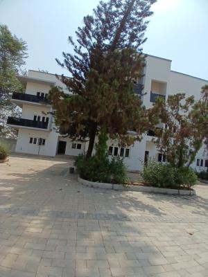 Brand New 6 Bedroom Detached Duplex with 1room Bq, Asokoro Abuja Diplomatic Zone, Asokoro District, Abuja, Detached Duplex for Rent