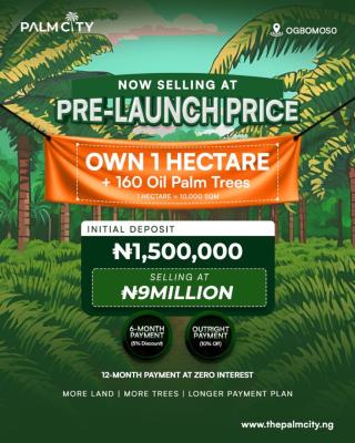 Palm City/ Oil Farm Estate, Ogbomosho South, Oyo, Industrial Land for Sale