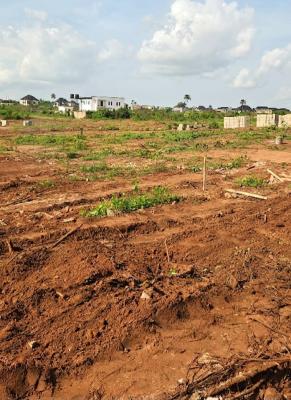 Buy & Build Plots and Acres of Land in Okpanam, Asaba, Okpanam, Asaba, Delta, Residential Land for Sale