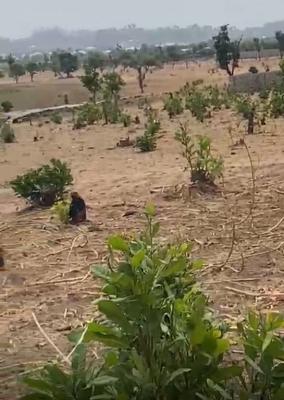 4 Bedrooms Terrace Duplex (250sqm), Kuchiyako, Kuje, Abuja, Residential Land for Sale