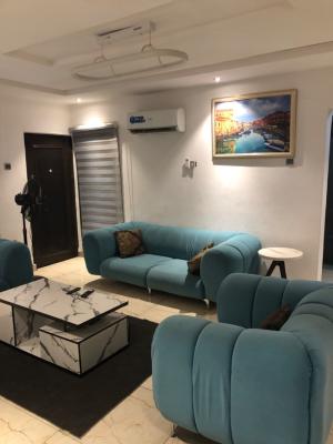 Fully Furnished 2 Bedroom Flat, Allen, Surulere, Lagos, House for Rent