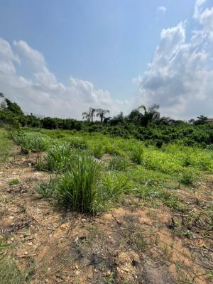 Full Plot of Suitable for Residential of Shoetket, Ibeshe, Ikorodu, Lagos, House for Sale
