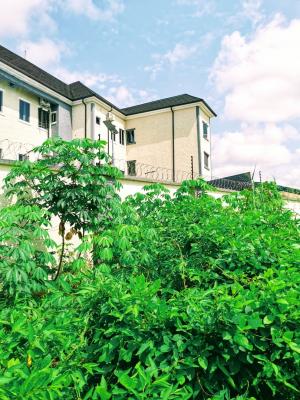 Distress Deal: 956sqm Land at Shelter Afrique Estate for Purchase, Shelter Afrique Estate, Uyo, Akwa Ibom, Residential Land for Sale