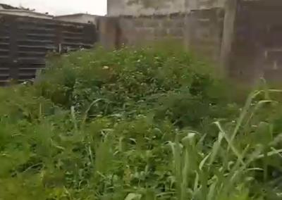 Joint Venture, Omole, Omole Phase 1, Ikeja, Lagos, Residential Land Joint Venture