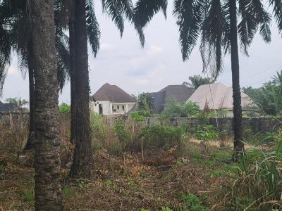 2 Plot of Land at Avu Off Port Harcourt Road, Avu Off Port Harcourt Road Owerri, Avu, Owerri West, Imo, Residential Land for Sale