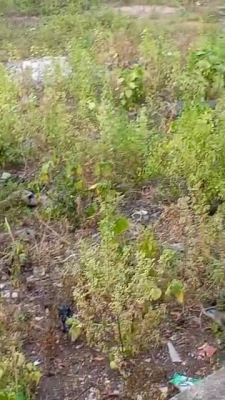 Distress Plot of Land of Approximately 450sqm, Kunle Ogedengbe Crescent, Gra Phase 2, Magodo, Lagos, Residential Land for Sale