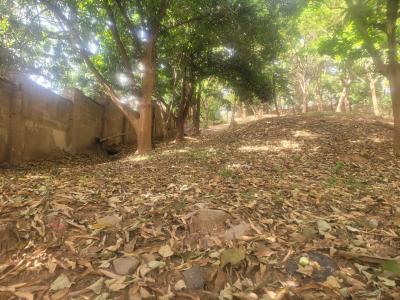 Prestigious Plot 2.512 Sqm with Certificate of Occupancy, Ministerhill, Maitama District, Abuja, Residential Land for Sale