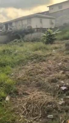 a Solid Full Plot of Land, Soluyi, Gbagada, Lagos, Land for Sale